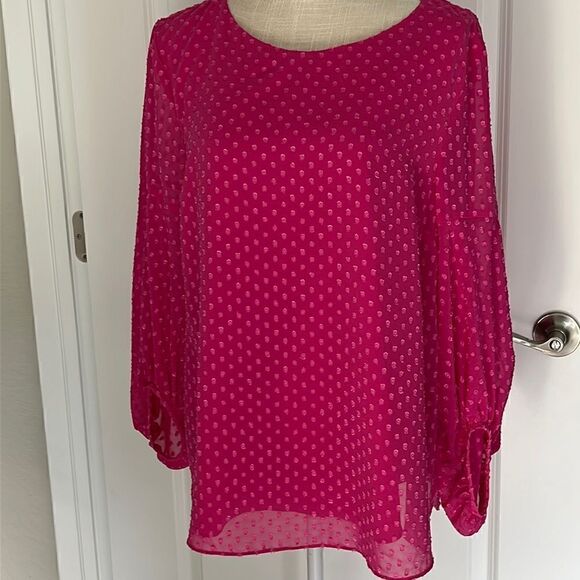 2/20. 
IMNYC Isaac Mizrahi Pink Lined with Sheer Pink Swiss Polka Blouse - Picture 1 of 10